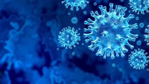 Coronavirus Virus